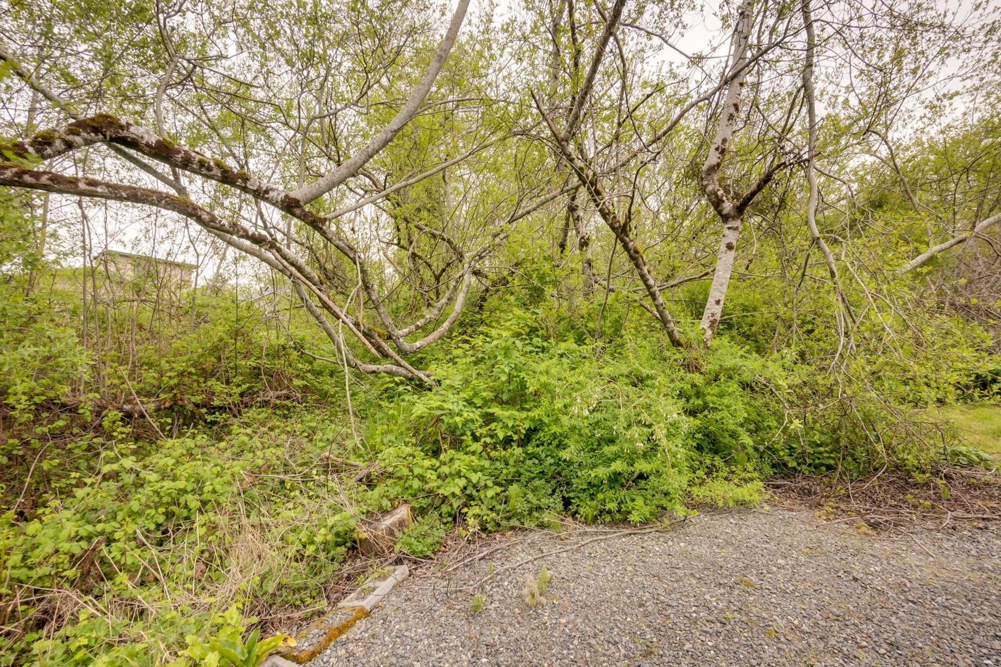 Soothing Studio With Lush Views 2 Mi To Beach! Smith River Luaran gambar